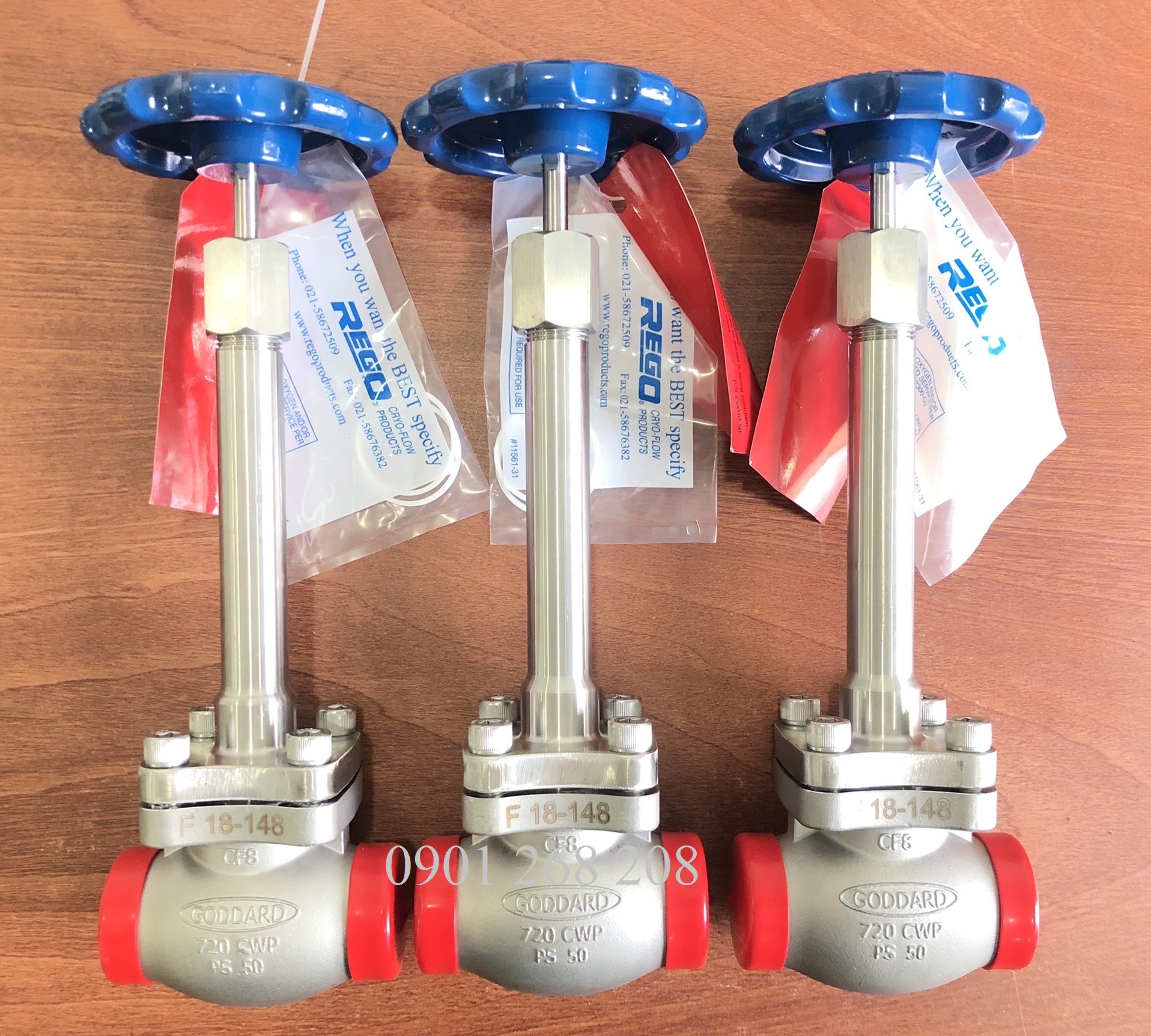 Stainless Steel Globe Valves for Cryogenic Service SK Advantage Series Medium Stem